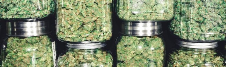 cannabis in jars