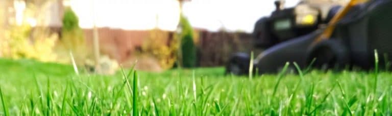 grass being cut by lawnmower