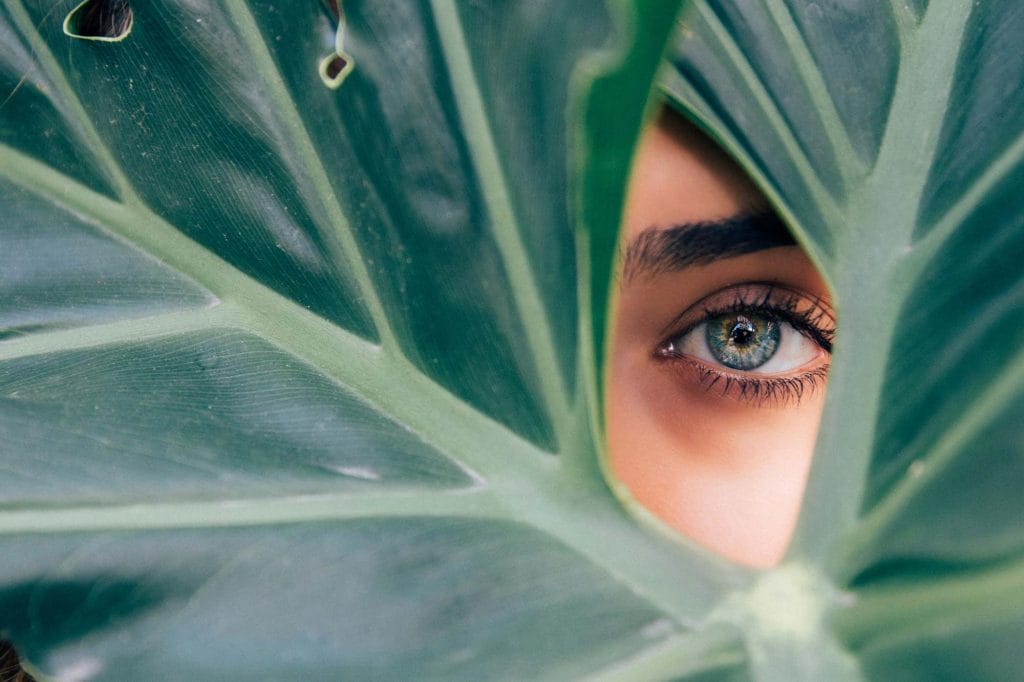 Close-up of woman's eyelashes