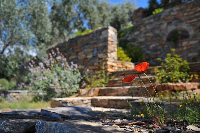 a well landscaped garden area