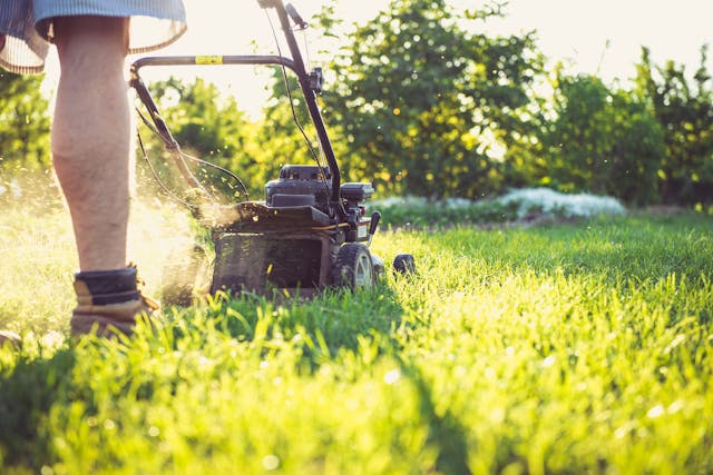 a man pushing a lawnmower through lush green grass