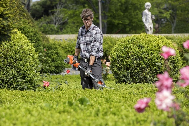 a man hedging a well manicured lawn
