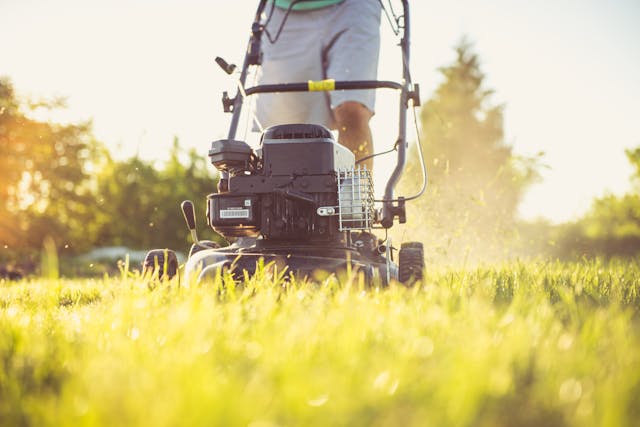 a lawnmower on grass