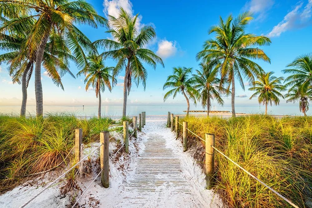Image of a Florida beach entrance with palm trees and blue sky.