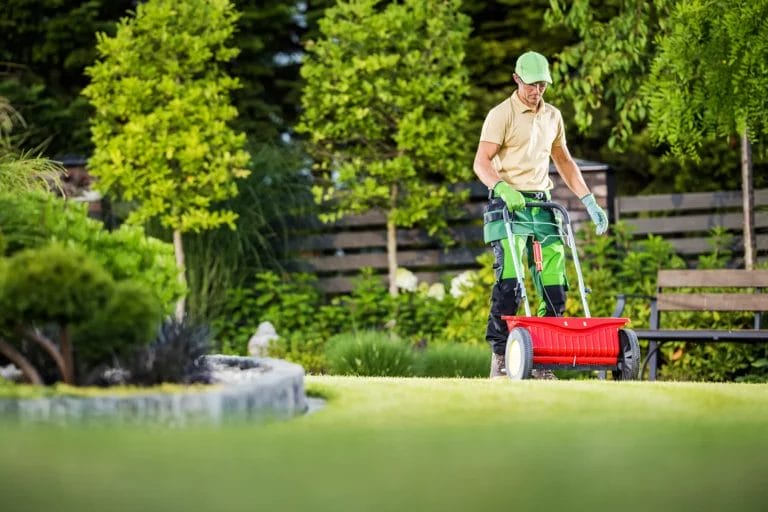 Lawn care worker mowing a lawn