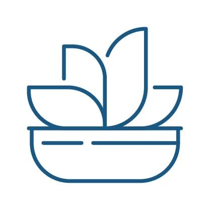 Illustrated icon for energy healers, showing a spa flower sitting in a bowl