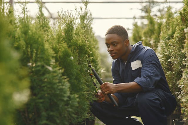 a man holding an edge trimmer at work