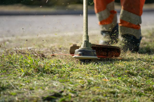 a worker trims grass with an edge cutter