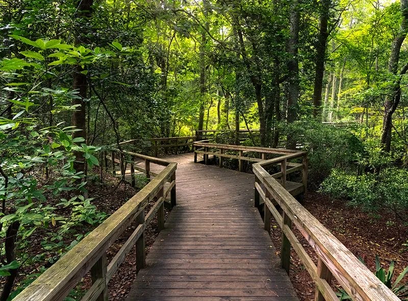 Image of First landing state park in Virginia