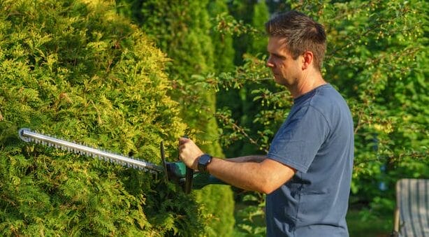 man cutting hedge with a trimmer