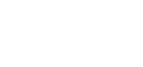 White Insurance Canopy logo on a transparent background.