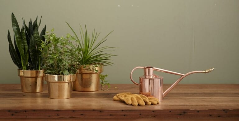 plants, gardening gloves, and a watering can sitting on a desk