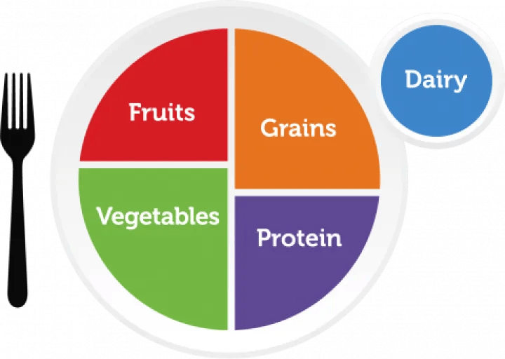 A MyPlate illustration depicting a plate with a green section that reads "vegetables," a purple section that reads "protein," an orange section that reads "grains," a red section that reads "fruits," and a blue section that reads, "dairy." A black fork is placed to the left of the plate.