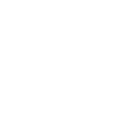 Icon of shield check mark