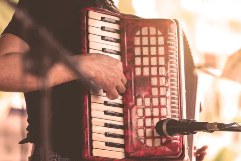 An accordion player serenading a wedding crowd.