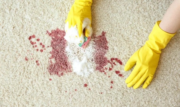 Hands in yellow rubber gloves cleaning a stain out of carpet with a sponge and detergent.