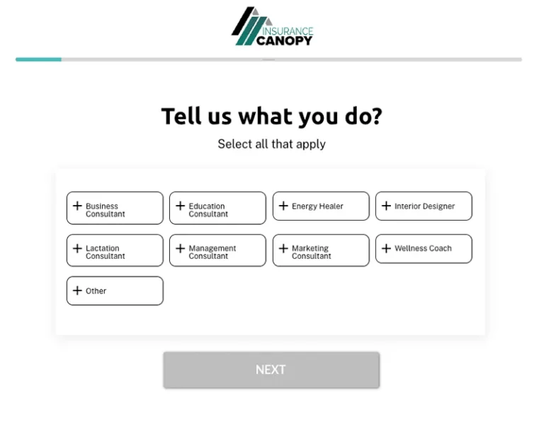 Image of consultant app's "tell us what you do?" page.