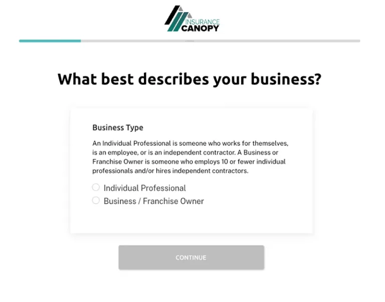 mage of consultant app's "describe your business" page.