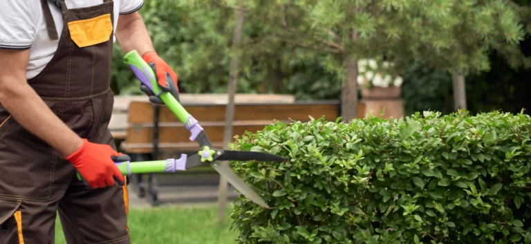 Lawn care service person trimming a shrub.
