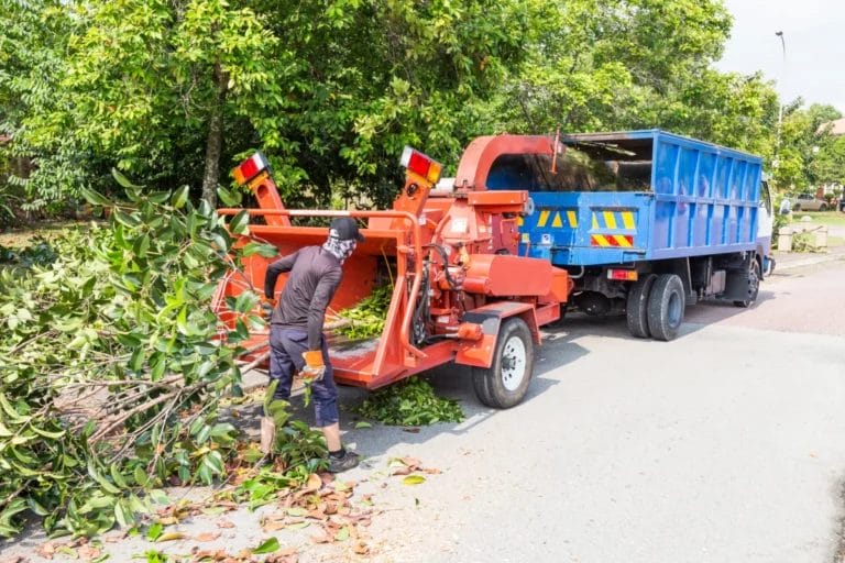 A man loading a tree into a wood chipper on a nice day.