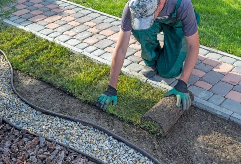 A landscaper laying down turf for a new lawn.