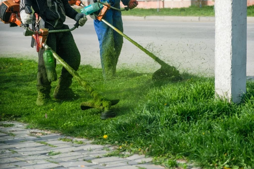 Workers cutting the grass with weed wackers.