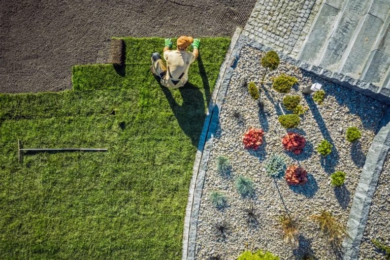 A landscaper laying down turf on someone's property.