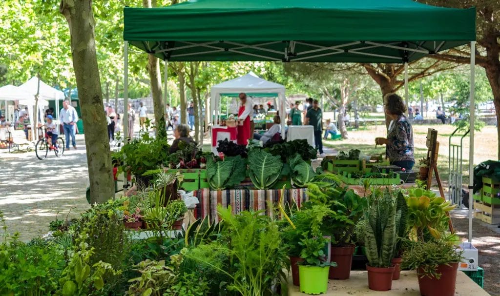 A look through several farmers market stands full of fresh produce set up at an outdoor event.