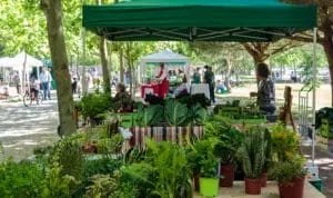 A look through several farmers market stands full of fresh produce set up at an outdoor event.