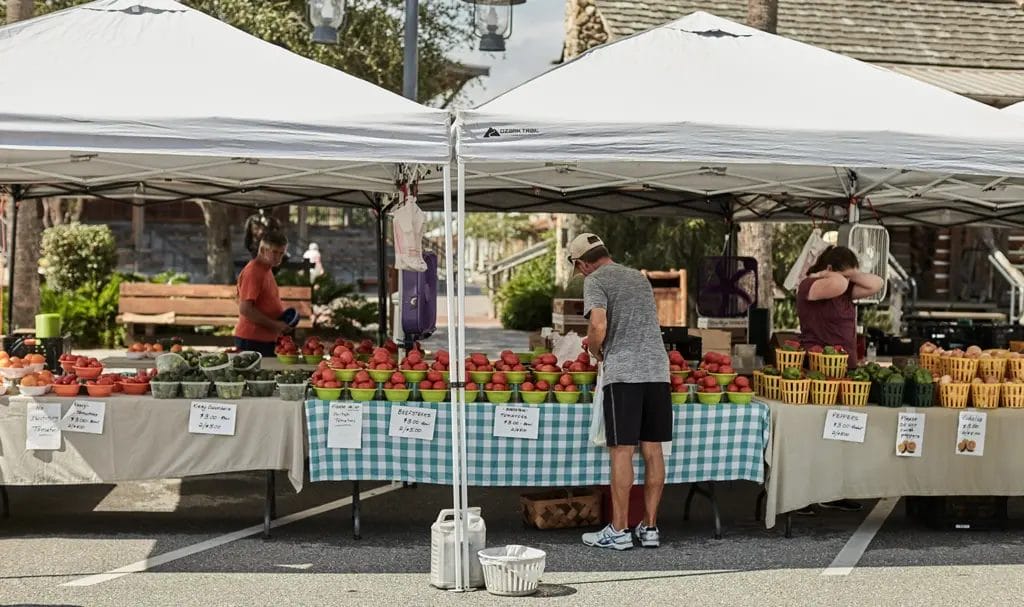 A shopper is selecting fresh produce from a farm stand vendor at an outdoor market.
