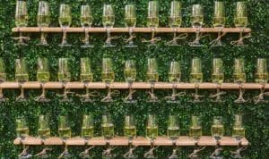A boxwood greenery wall with floating wood shelves holding glasses of champagne for guests.