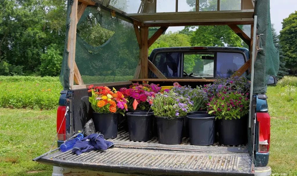 The open bed of a work truck full of landscaping flowers.
